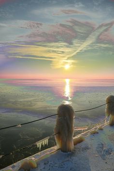 two dogs sitting on top of a snow covered hill next to the ocean at sunset