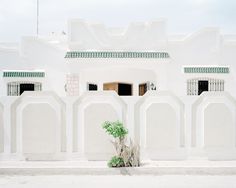 a white building with green plants in front of it