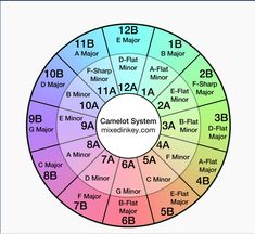 a circle with the names of different types of numbers in each color wheel, including 1 to 12