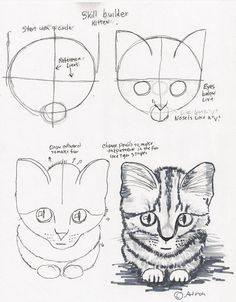 three different types of cats with their faces drawn in one point and the other line