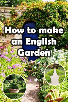 how to make an english garden with pictures of flowers and plants in the foreground