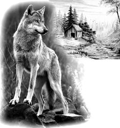 a wolf standing on top of a rock next to a painting of a cabin in the woods