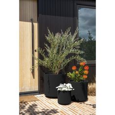 two black planters with flowers in front of a door