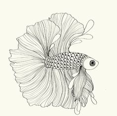 a black and white drawing of a fish