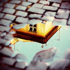 the reflection of a building and its roof is seen through a puddle of raindrops