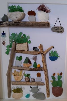 there are many rocks and plants on the shelf