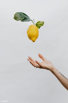 a hand reaching for a lemon that is flying through the air with it's green leaves