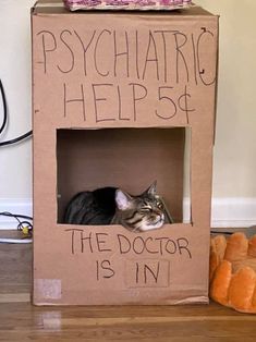 a cat sitting in a cardboard box that says, psychic helps the doctor is in