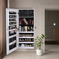 an open cabinet with many items in it and a potted plant next to it