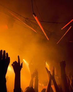 a crowd of people raising their hands up in the air at a music concert with yellow and red lighting