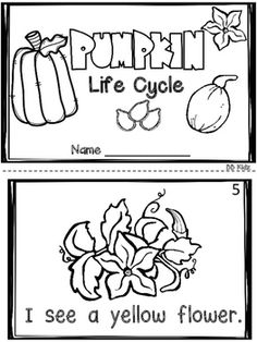 two coloring pages for pumpkin life cycle