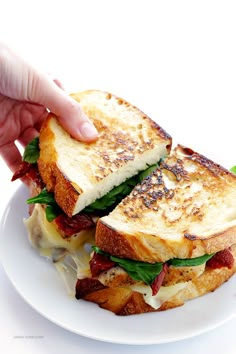 a person is holding a sandwich on a white plate