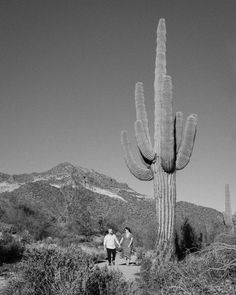 two people are standing next to a large cactus