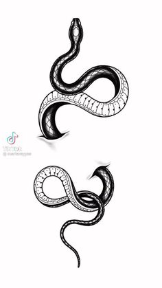 a black and white drawing of a snake with its tail curled in the shape of a letter