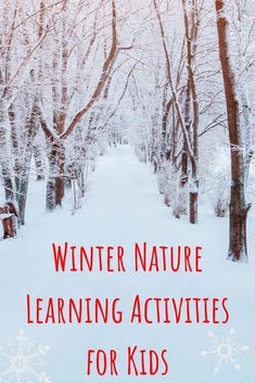 the words winter nature learning activities for kids are shown in red and white with snowflakes