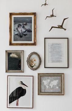 several framed pictures and birds hang on the wall