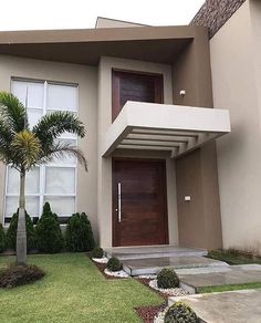 a house that has some plants in the front yard and palm trees on the side