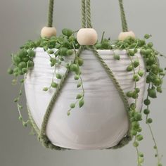 a potted plant hanging from a rope with green plants growing on it's sides