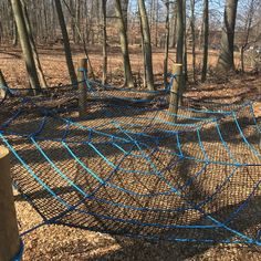 an outdoor play area in the woods with blue netting covering it and trees behind it