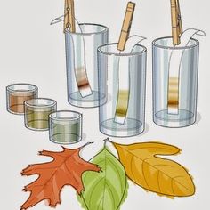 an image of toothbrushes in cups and leaves