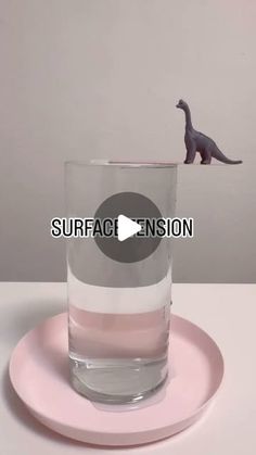 Science for Kids on Instagram: "Easy science activity to demonstrate surface tension for kids and adults 👩🏻‍🔬😀

✨Science: Surface tension is a force that makes water molecules stick tightly together at the surface. When you place a card on top of a glass of water, this force helps hold the card in place. If you gently put a small object on the card, the surface tension keeps everything balanced and prevents the card from falling, as long as the weight is spread out and doesn’t break the water’s surface.

#scienceforkids #stem #steam #kidsactivities #kids #moms #scienceathome #scienceandgiggles #surfacetension #actividades" Toddler Class, Surface Tension, Science Activity, Stem Steam, Water Molecule, Glass Of Water, Easy Science, A Force