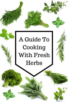 a guide to cooking with fresh herbs