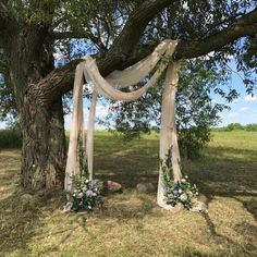 an outdoor wedding setup under a large tree