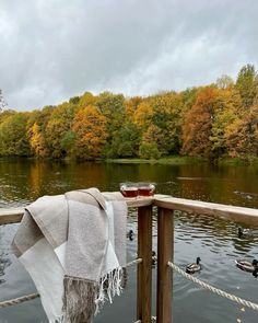 a blanket is hanging on a wooden railing near the water with ducks and trees in the background