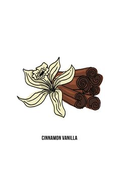 cinnamon vanilla sticks with the words cinnamon vanilla on it and an image of a flower