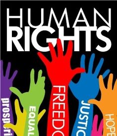 the cover of occupy human rights, with colorful hands reaching up to each other in different colors