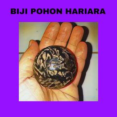 a hand holding a ball with the words bij pohon haria on it