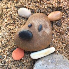 a rock shaped like a bear laying on top of some sand and gravel with rocks around it