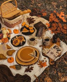 a table topped with lots of different types of food and drinks on top of a blanket