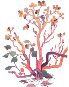 a drawing of a tree with lots of leaves on it's branches and roots