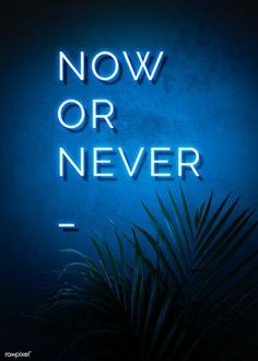 a blue neon sign that says now or never on the side of a wall next to a palm tree