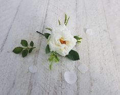 a white rose and some green leaves on a wooden surface with petals scattered around it