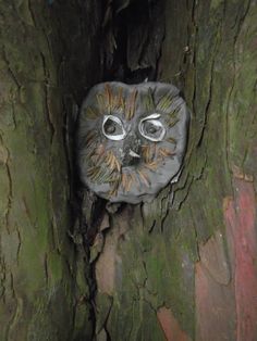 an owl face is painted on the bark of a tree