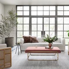 a living room filled with lots of furniture and plants on top of it's windows