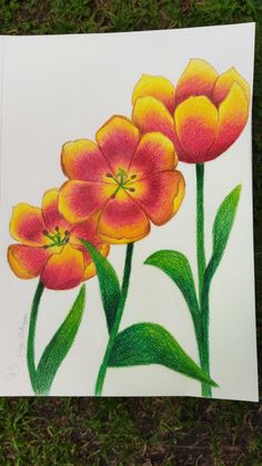 a drawing of three orange flowers with green leaves on the ground in front of some grass