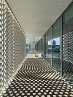 the walkway is lined with black and white dots