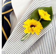 two yellow flowers are placed on the lapel of a man's dress shirt