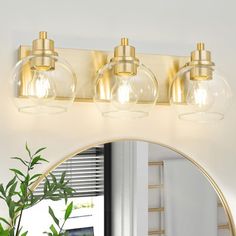 a bathroom vanity with three lights and a mirror on the wall next to a potted plant