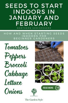 seeds to start indoors and february