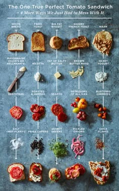 a poster showing different types of sandwiches on a blue background with the words, the one true perfect tomato sandwich