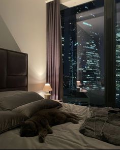 a cat laying on top of a bed next to a window at night in front of a cityscape