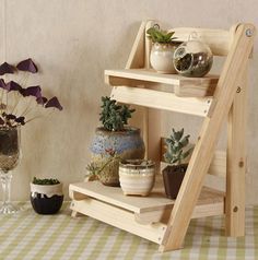 several potted plants are sitting on wooden shelves