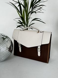 #Julievintagebag #plantsmakemehappy#ecosusi#briefcase My Day, Make Me Happy