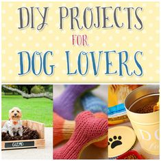 the cover of diy projects for dog lovers