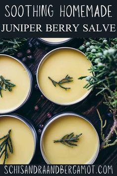 An easy, healing juniper berry salve to soothe inflammation. This DIY salve uses only 3 ingredients and is the perfect addition to any home. Henbit Salve, Diy Tinctures, Diy Salve, Herbal Salve Recipes, Homemade Balm, Juniper Essential Oil, Juniper Oil, Witches Garden