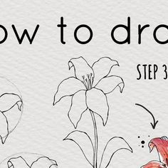 how to draw flowers step by step with pictures and instructions for beginner's drawing